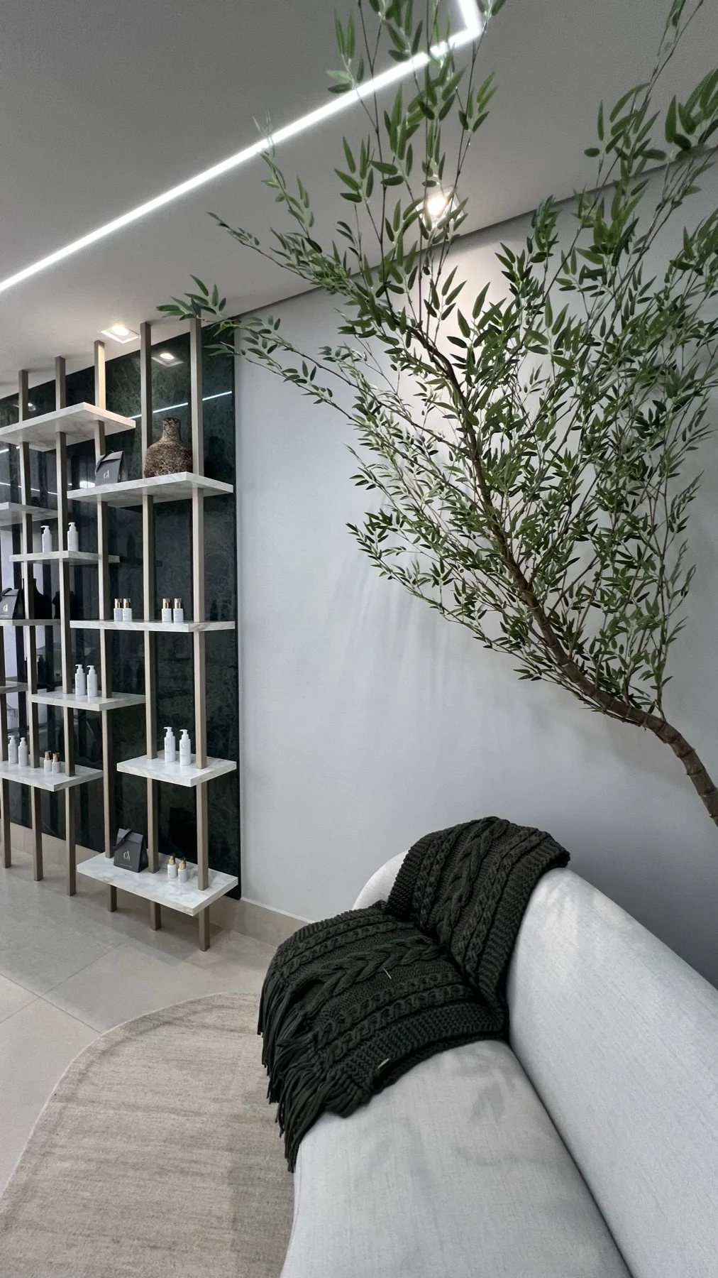 Sala com oliveira e estante de produtos